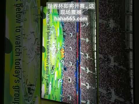 勒沃库森成,功破荒,弗林蓬制胜,2026世界杯,世界杯赛程,举办城市,比赛信息,参赛球队