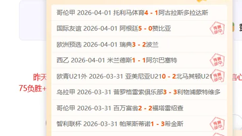 “阿森纳力克狼队，补赛英超第20轮2-1取胜，佩佩建功拉卡泽特乌龙助阵”